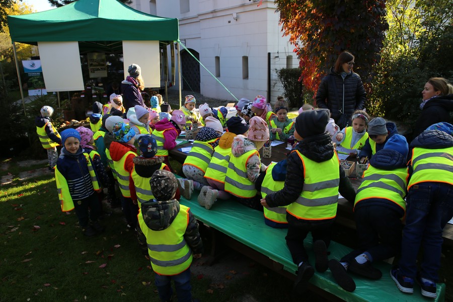 przedszkolacy chętnie kolorują sylwetki grzybów fot. Rafał Borzyszkowski