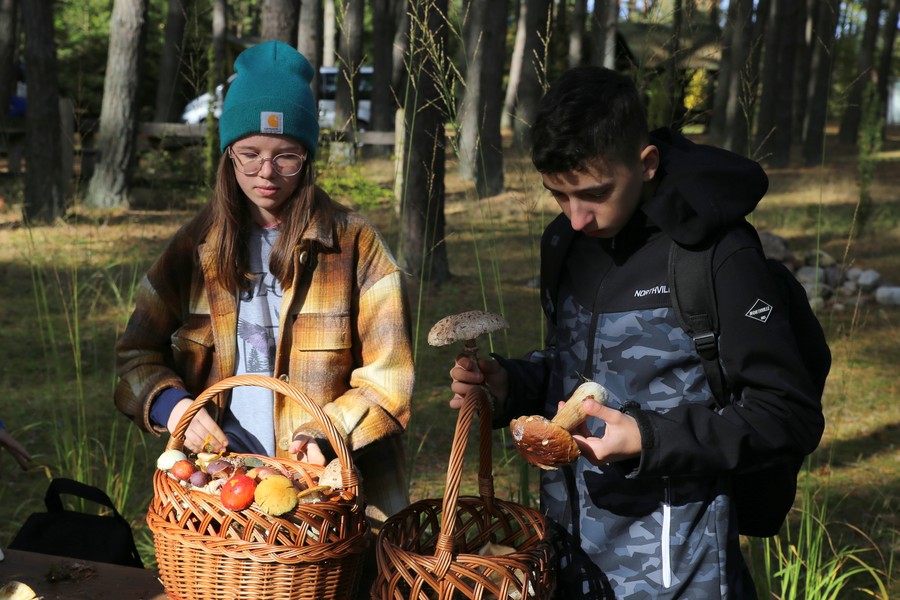wybieramy szczególne okazy grzybów na wystawę fot. Rafał Borzyszkowski