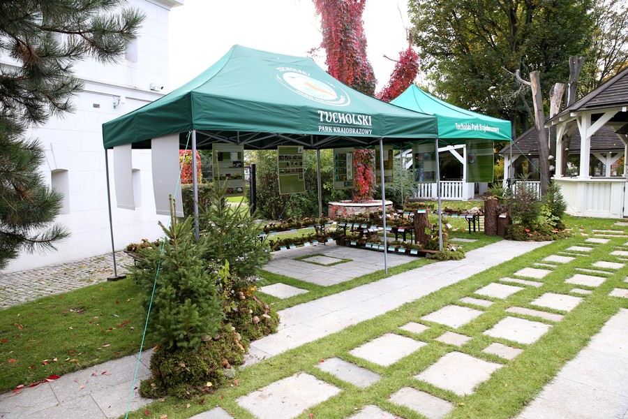 wystawa ponad 100 gatunków grzybów gotowa fot. Rafał Borzyszkowski