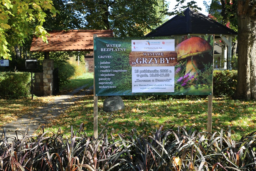 zaproszenie na wystawę grzybów fot. Rafał Borzyszkowski