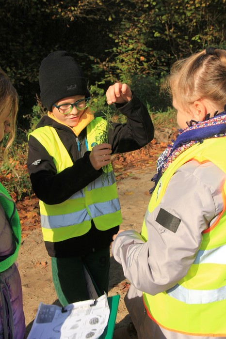 Czy skrzyp faktycznie skrzypi (fot. GLPK)