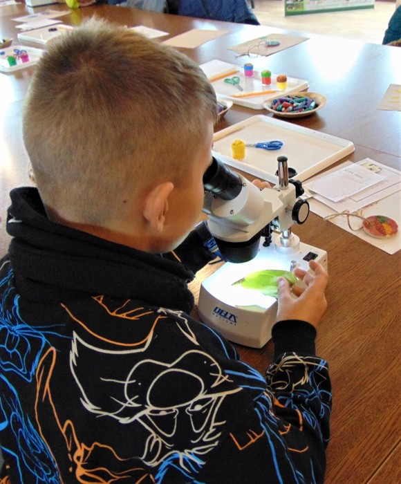 Obserwacje pod mikroskopem (fot. GLPK)