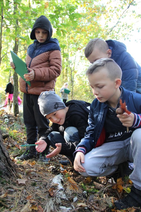 Obserwacje przyrodnicze w terenie (fot. GLPK)