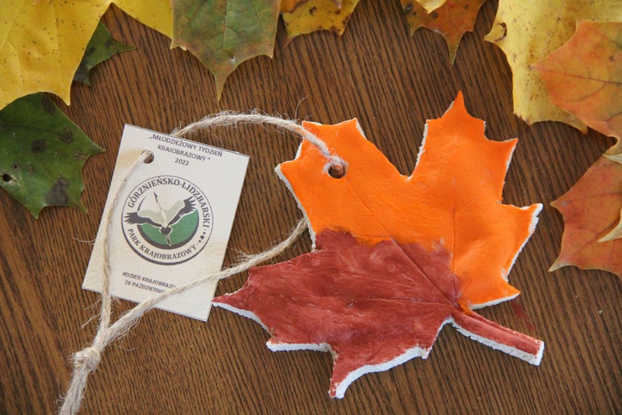 Pamiątka z Młodzieżowego Tygodnia Krajobrazowego (fot. GLPK)