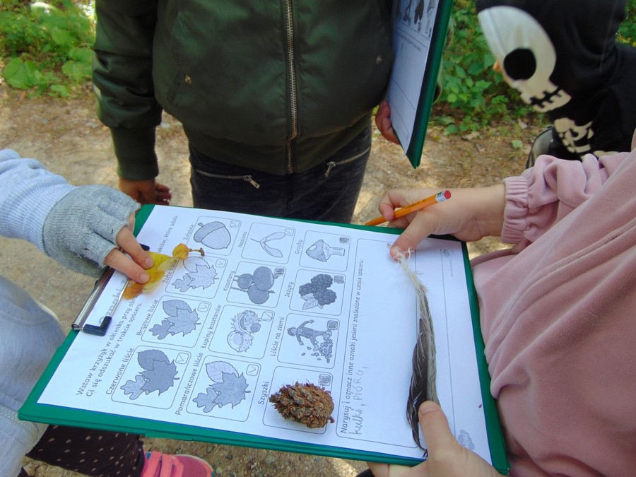 Poszukiwanie jesiennych skarbów przyrody (fot. GLPK)