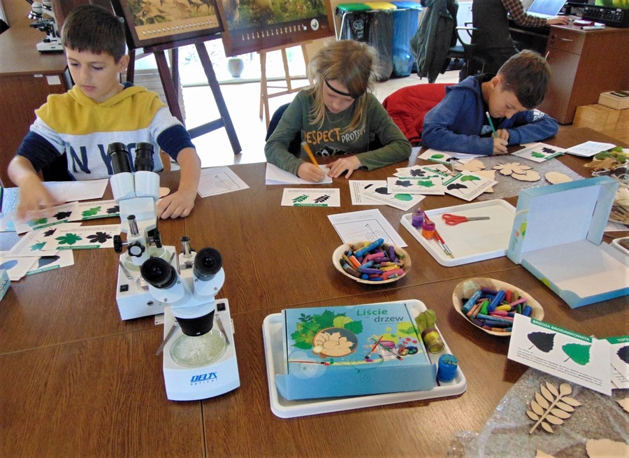 Rozpoznawanie liści w sali dydaktycznej (fot. GLPK)