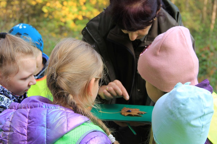 Rozpoznawanie owadów w terenie (fot. GLPK)