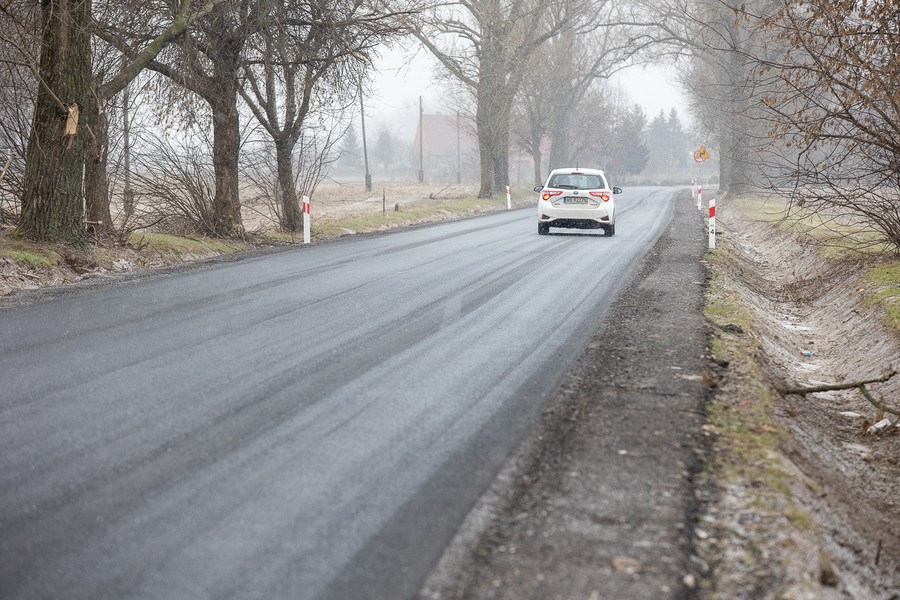 DW 246 Rojewo-Płonkowo, fot. Mikołaj Kuras dla UMWKP