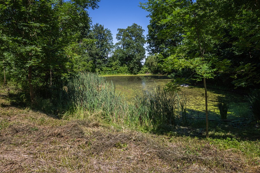 Piknik w Nawrze, fot. Szymon Zdziebło/tarantoga.pl dla UMWKP