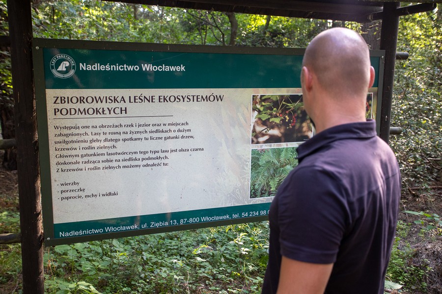 Gostynińsko-Włocławski Park Krajobrazowy, Fot. Mikołaj Kuras dla UMWKP