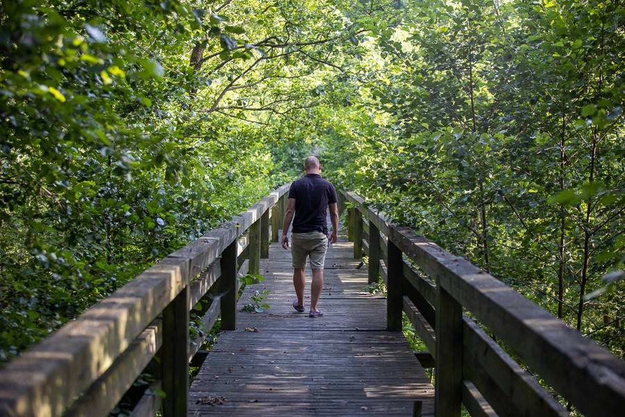 Gostynińsko-Włocławski Park Krajobrazowy, Fot. Mikołaj Kuras dla UMWKP