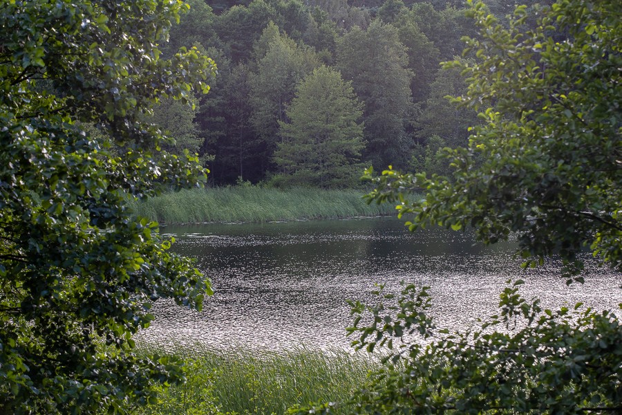 Gostynińsko-Włocławski Park Krajobrazowy, Fot. Mikołaj Kuras dla UMWKP