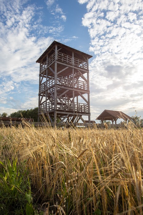 Gostynińsko-Włocławski Park Krajobrazowy, Fot. Mikołaj Kuras dla UMWKP