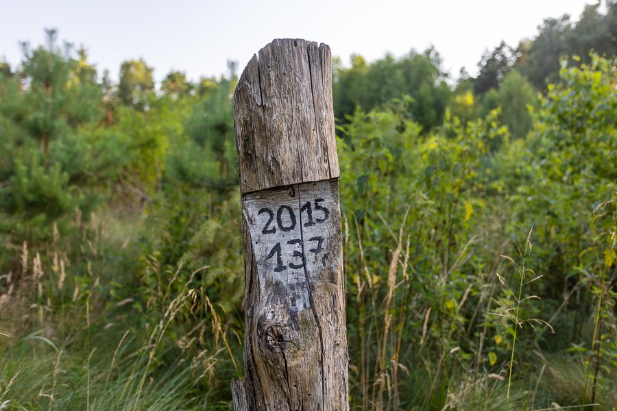 Gostynińsko-Włocławski Park Krajobrazowy, Fot. Mikołaj Kuras dla UMWKP