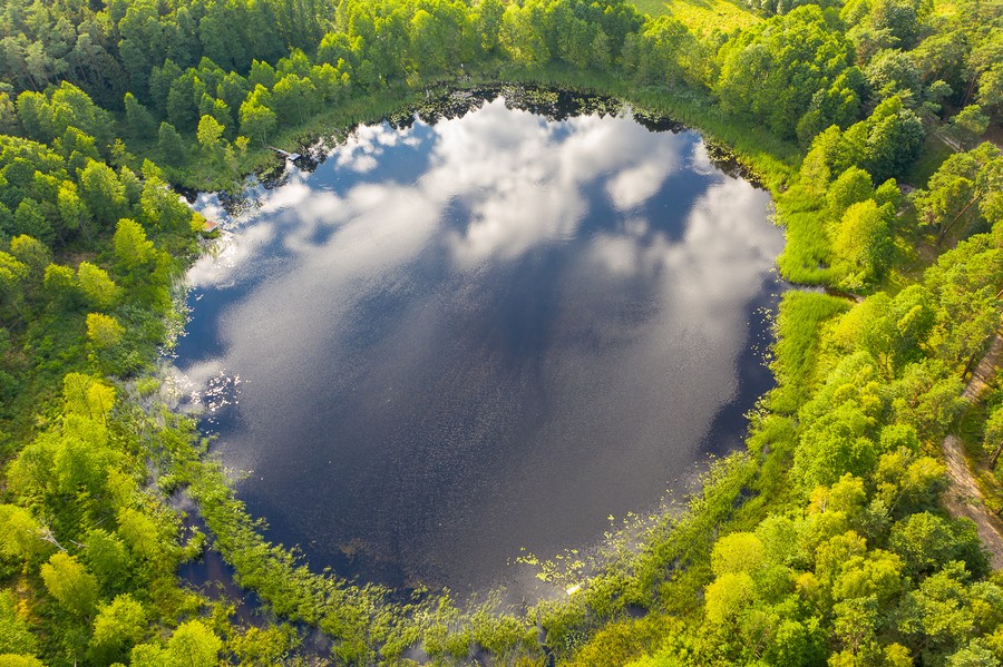Gostynińsko-Włocławski Park Krajobrazowy, Fot. Mikołaj Kuras dla UMWKP
