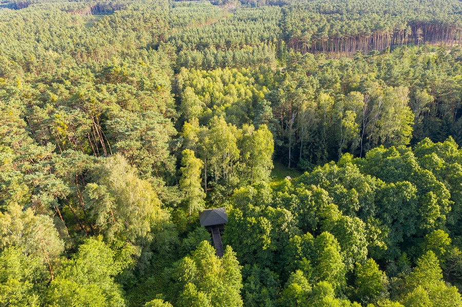 Gostynińsko-Włocławski Park Krajobrazowy, Fot. Mikołaj Kuras dla UMWKP