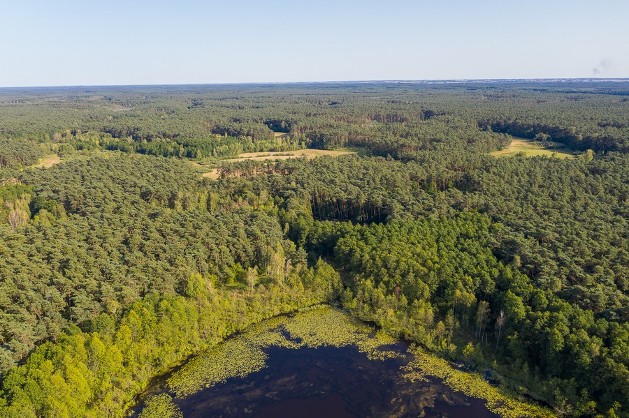 Gostynińsko-Włocławski Park Krajobrazowy, Fot. Mikołaj Kuras dla UMWKP