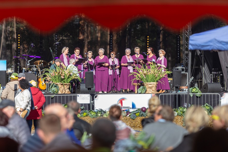 Święto Kapusty 2022, fot. Szymon Zdzieblo/tarantoga.pl dla UMWKP