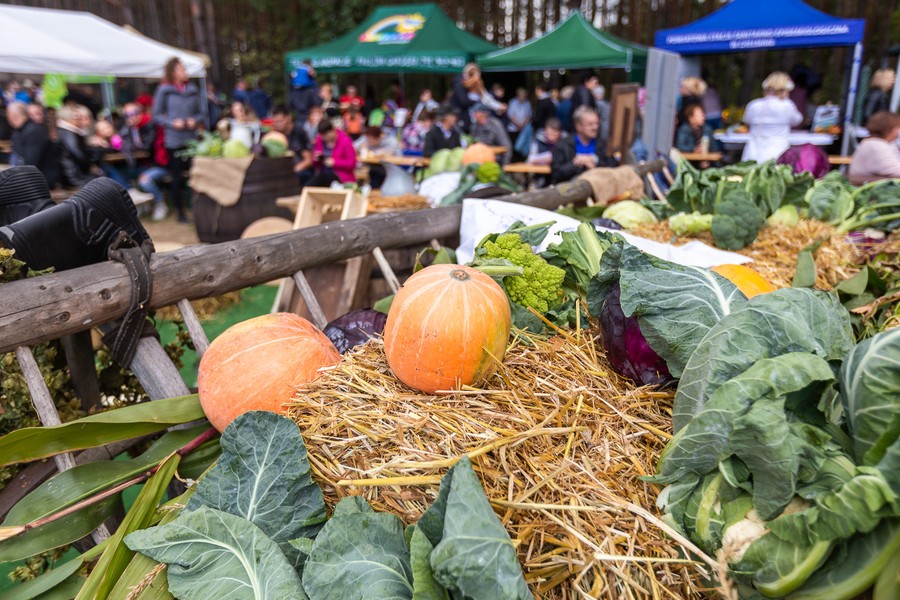 Święto Kapusty 2022, fot. Szymon Zdzieblo/tarantoga.pl dla UMWKP