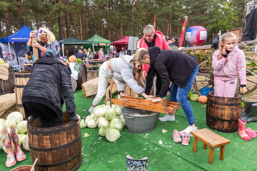 Święto Kapusty 2022, fot. Szymon Zdzieblo/tarantoga.pl dla UMWKP