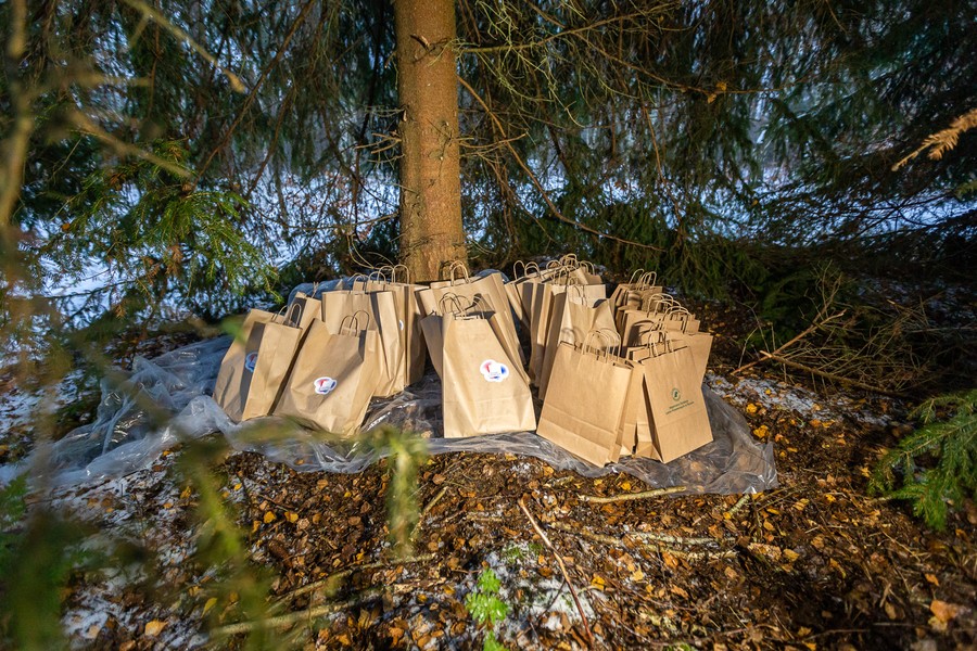 Marszałkowi Piotrowi Całbeckiemu podczas wyboru choinki towarzyszyły dzieci z gminy Unisław, fot. Szymon Zdziebło/tarantoga.pl dla UWMKP