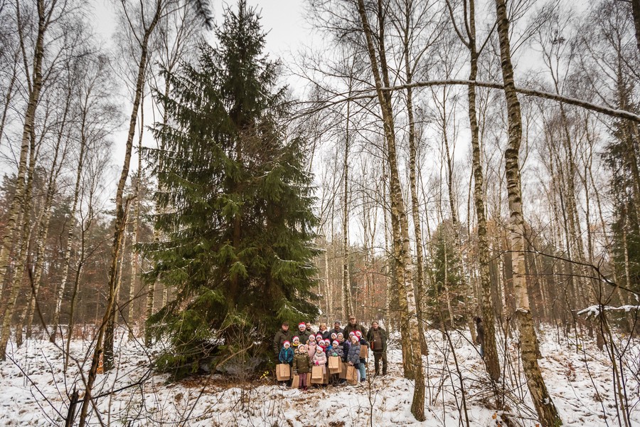 Marszałkowi Piotrowi Całbeckiemu podczas wyboru choinki towarzyszyły dzieci z gminy Unisław, fot. Szymon Zdziebło/tarantoga.pl dla UWMKP