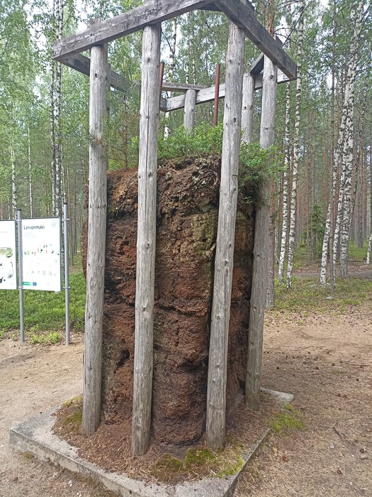 Park Narodowy Leivonmäki, ekspozycja prezentująca proces próchniczy torfowiska w przekroju, fot. Katarzyna Rzemykowska