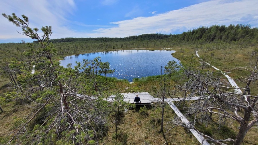 Park Narodowy Leivonmäki, widok z wieży widokowej na infrastrukturę szlaku na obszarze mszaru, fot. Rafał Modrzewski