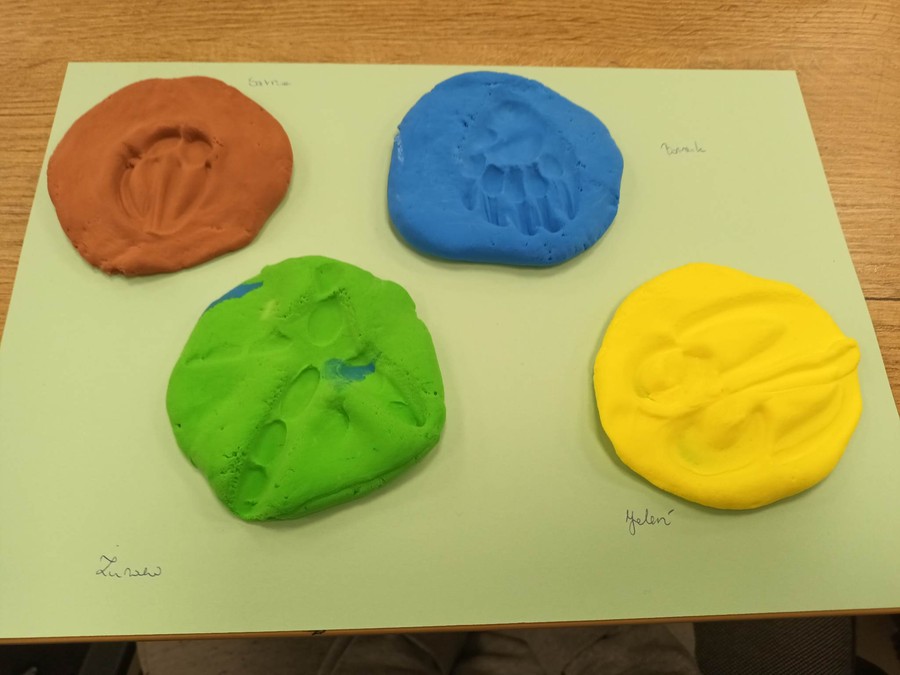 tropy, fot. Monika Wiśniewska