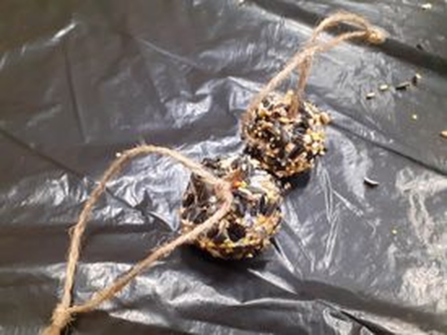 gotowe karmniki, fot. Marlena Wojciechowska