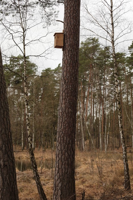 Budka dla gągoła, fot. Archiwum BPK