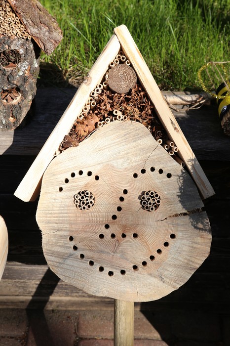 Czynna ochrona dzikich zapylaczy może być prowadzona z uśmiechem, fot. Rafał Borzyszkowski