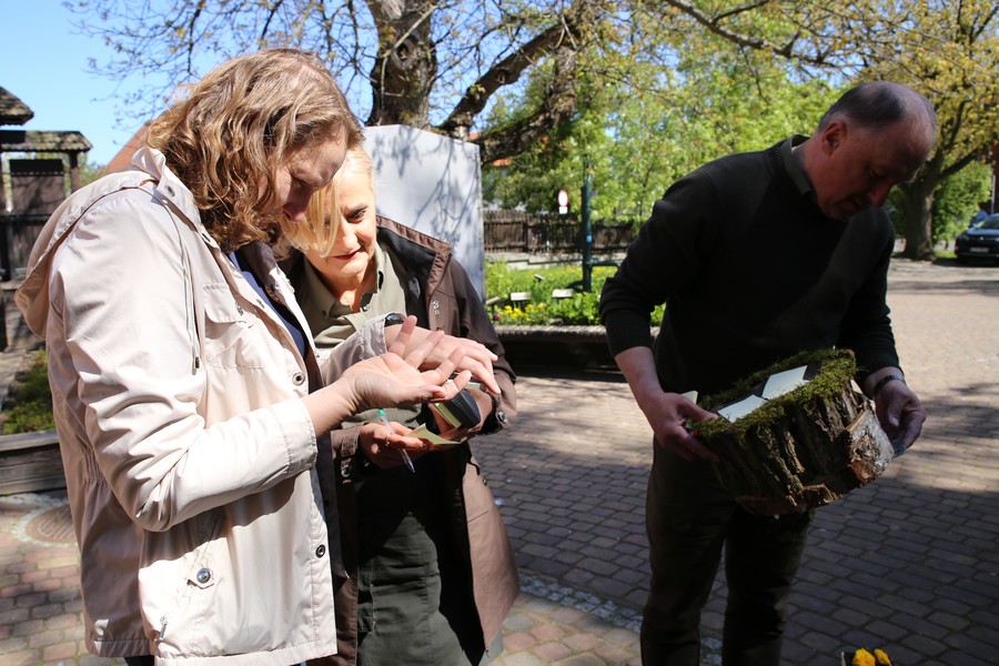 Komisja oceniała poprawność merytoryczną, naturalność, pomysłowość i estetykę hoteli, fot. Barbara Grzesiak