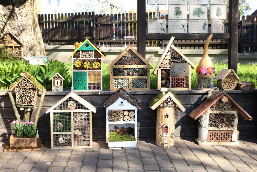 Konkursowe hotele dla dzikich zapylaczy w kategorii szkół podstawowych z klas I-III, fot. Rafał Borzyszkowski