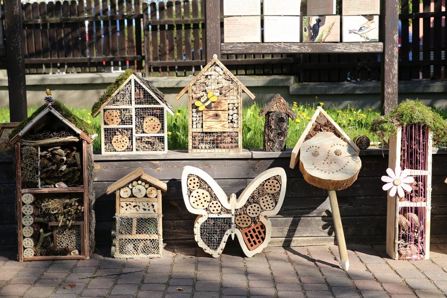 Uczestnicy konkursu wykazali się dużą wiedzą merytoryczną i kreatywnością, fot. Rafał Borzyszkowski