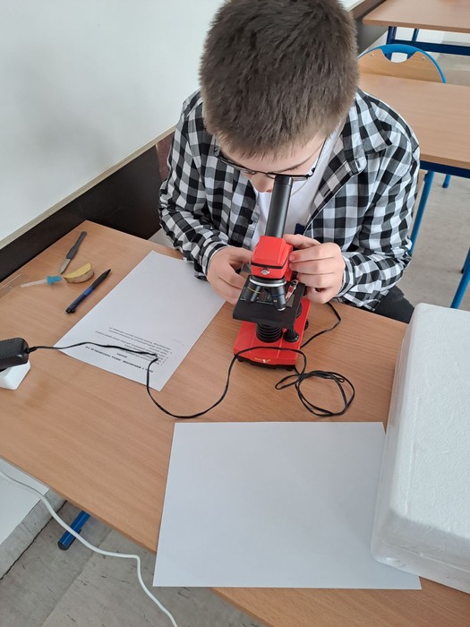 Mikroskopowanie (fot. ZS w Lubowidzu)