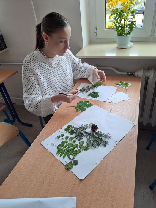 Rozpoznawanie gatunków drzew i krzewów leśnych (fot. ZS w Lubowidzu)