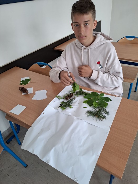 Rozpoznawanie gatunków drzew i krzewów leśnych (fot. ZS w Lubowidzu)