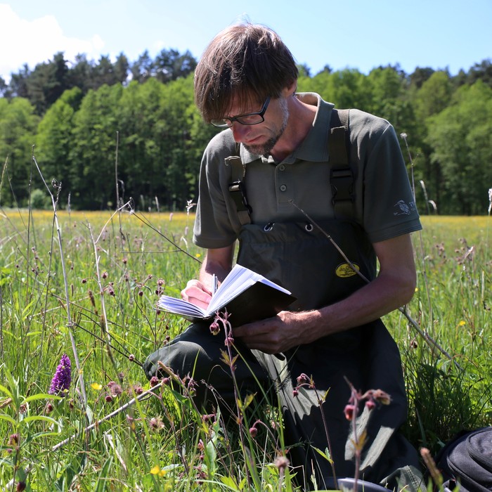 Monitoring kukułki krwistej. fot. Bartłomiej Szamocki
