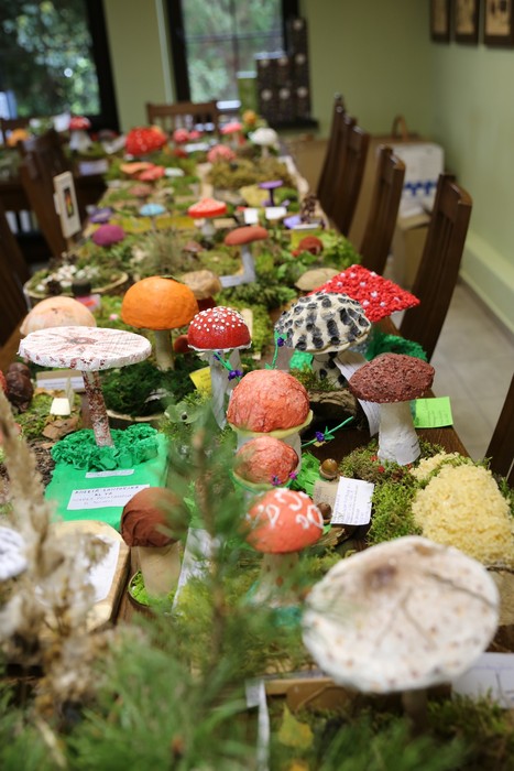 Konkursowe prace c.d., fot. Dorota Borzyszkowska