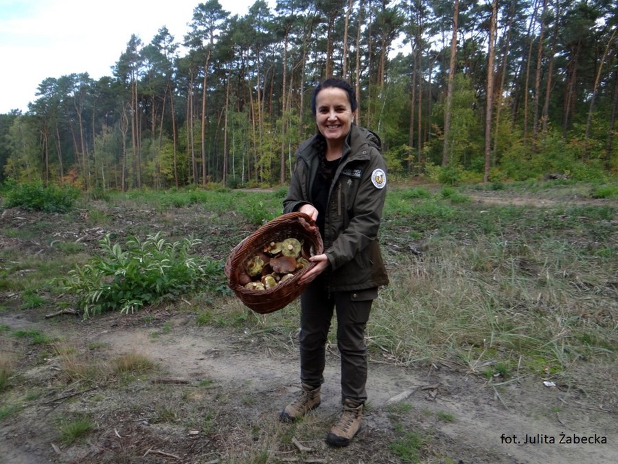 zdjęcie przedstawia p. Beatę Pawlak z koszem pełnym grzybów