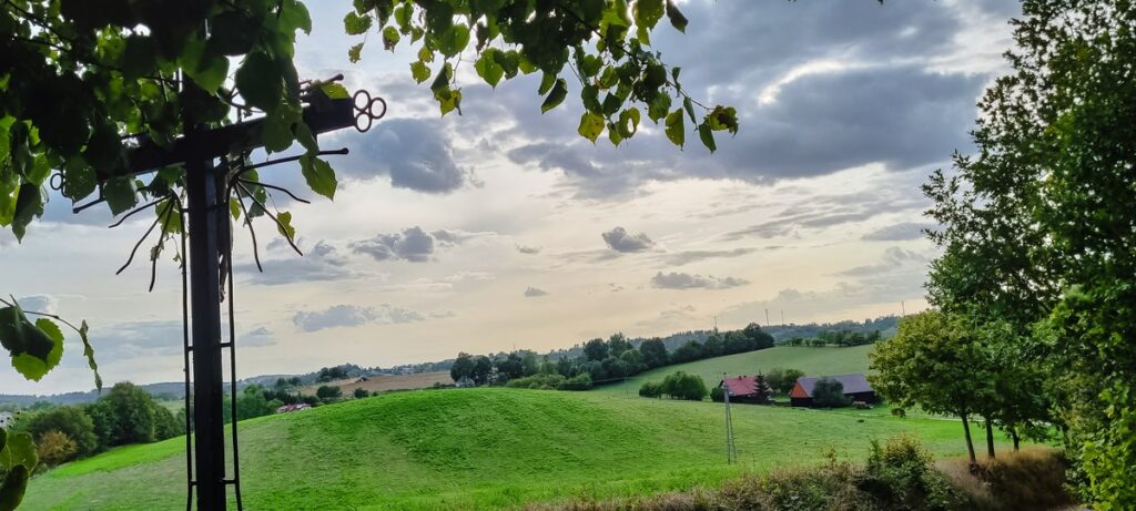 Miejsce II - Fiałki po horyzont (fot. Ida Długińska)