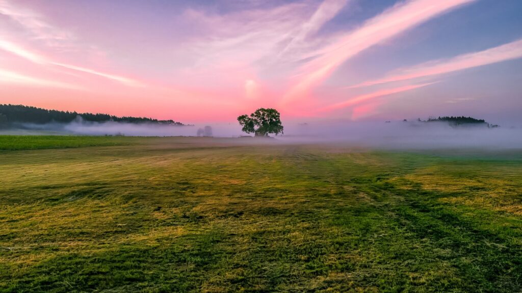 Nagroda Specjalna - Letni poranek nad Drwęcą (fot. Veronika Hulianok)