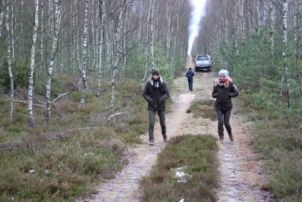 Wilczym tropem w Tucholskim Parku Krajobrazowym fot. Rafał Borzyszkowski