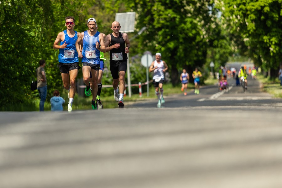 Run Toruń 2023, fot. Szymon Zdziebło, tarantoga.pl dla UMWKP
