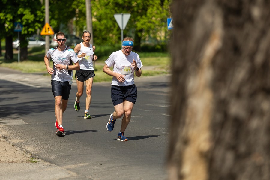 Run Toruń 2023, fot. Szymon Zdziebło, tarantoga.pl dla UMWKP