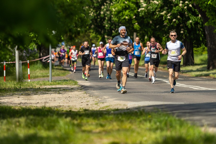Run Toruń 2023, fot. Szymon Zdziebło, tarantoga.pl dla UMWKP