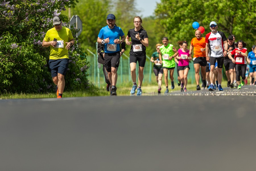 Run Toruń 2023, fot. Szymon Zdziebło, tarantoga.pl dla UMWKP