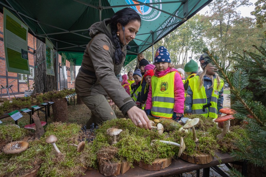 II Wystawa Grzybów zorganizowana w Toruniu przez Tucholski park Krajobrazowy. Fot. Mikołaj Kuras dla UMWKP