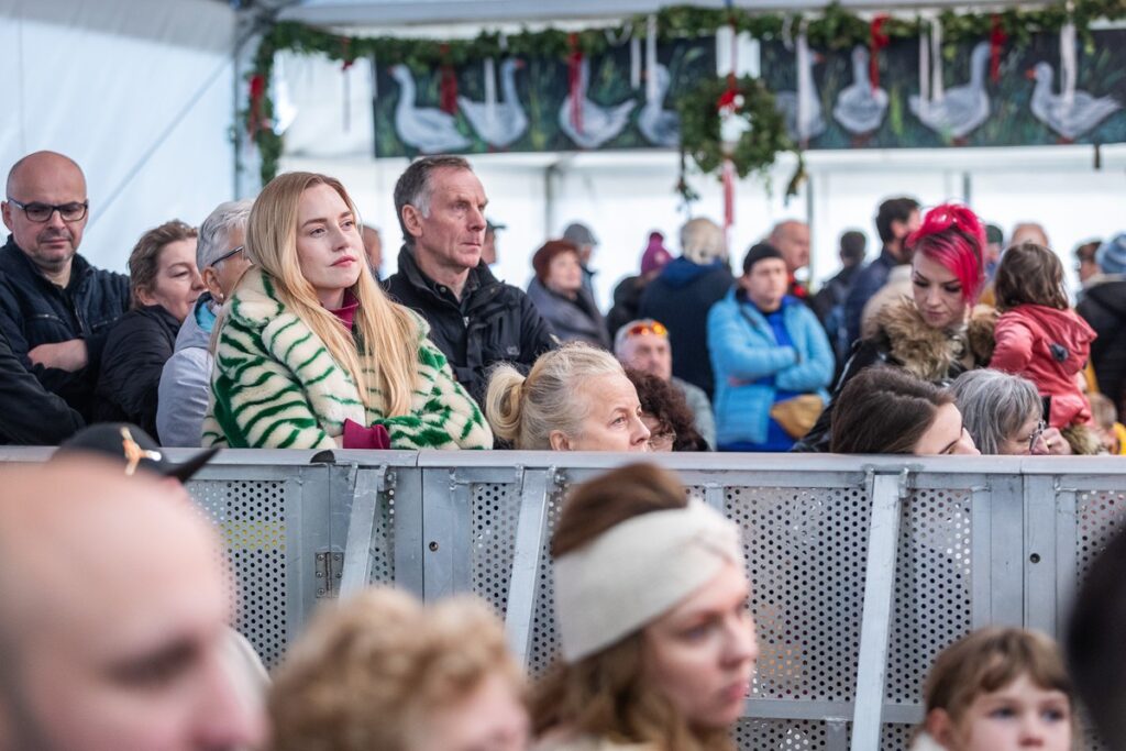 Festiwal Gęsinowy w Przysieku, fot.Szymon Zdziebło/tarantoga.pl dla UMWKP